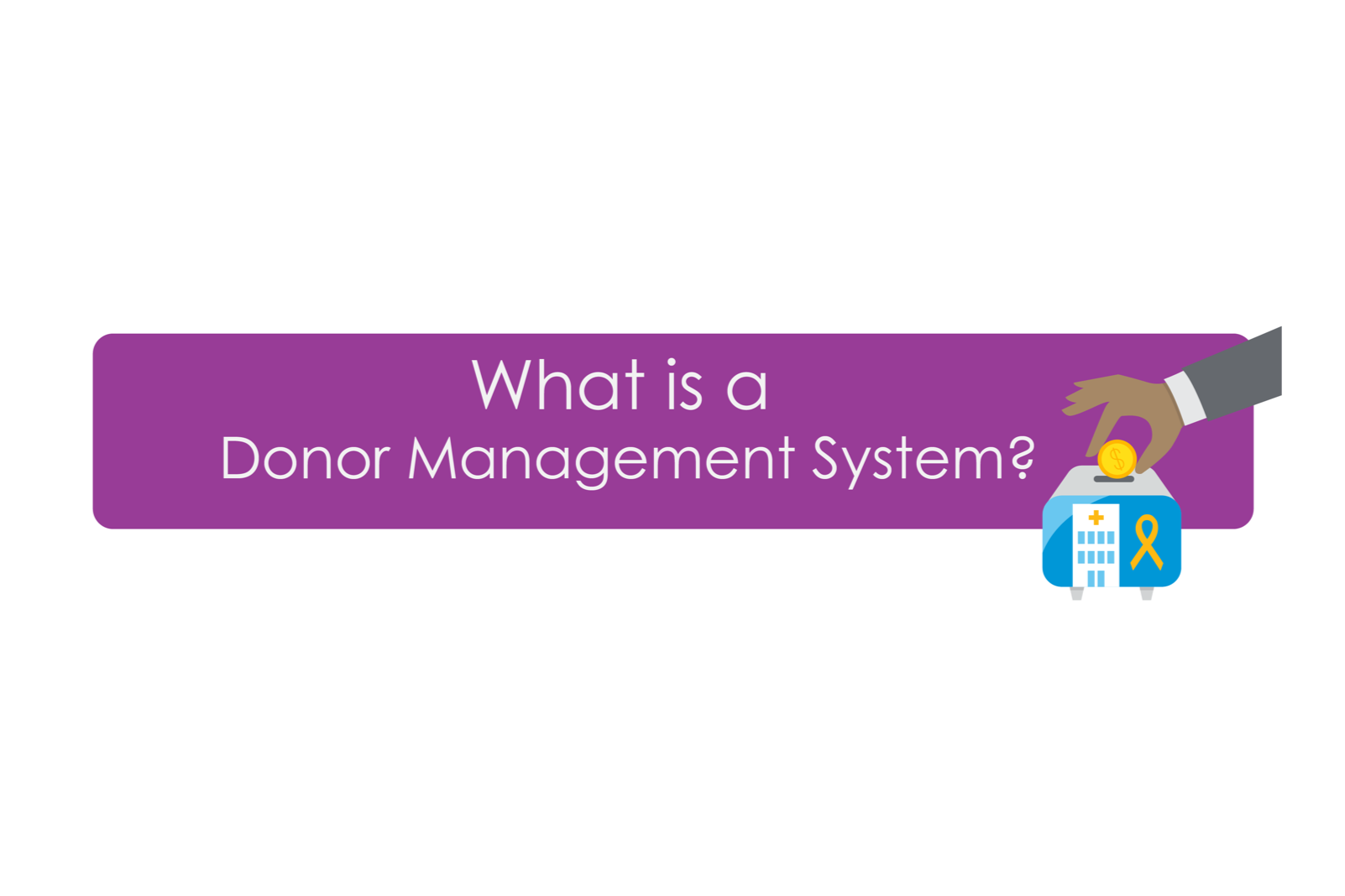 what-is-a-donor-management-system-salesforce